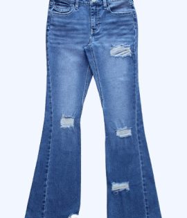 Ladies Pant